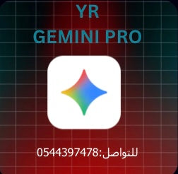 Google Gemini pro 1 YEAR